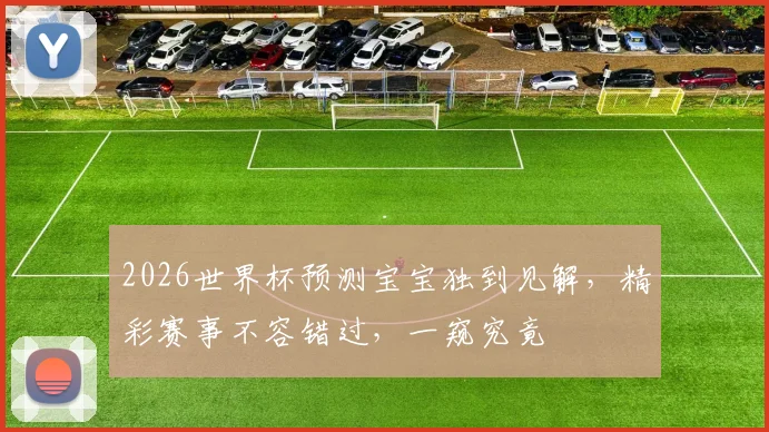 2026世界杯预测宝宝独到见解，精彩赛事不容错过，一窥究竟