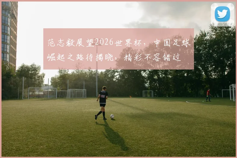范志毅展望2026世界杯，中国足球崛起之路待揭晓，精彩不容错过