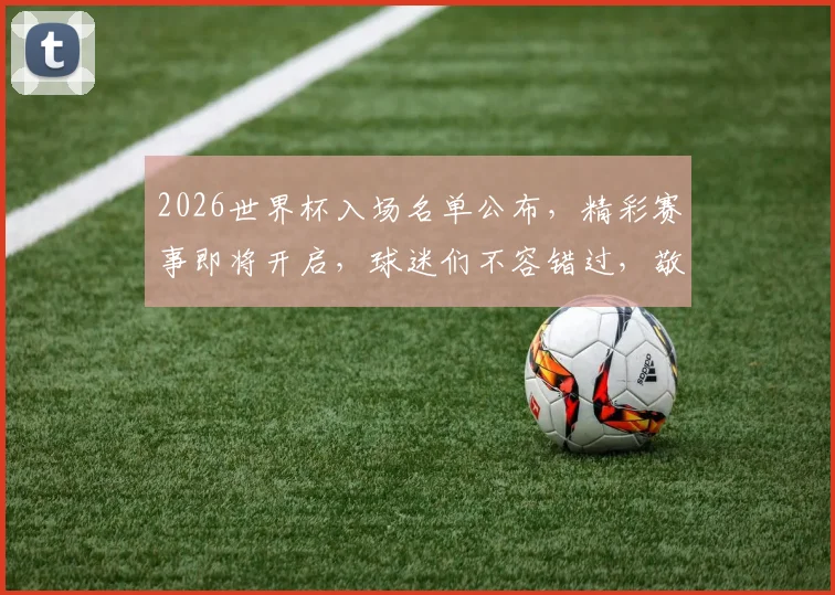2026世界杯入场名单公布，精彩赛事即将开启，球迷们不容错过，敬请关注
