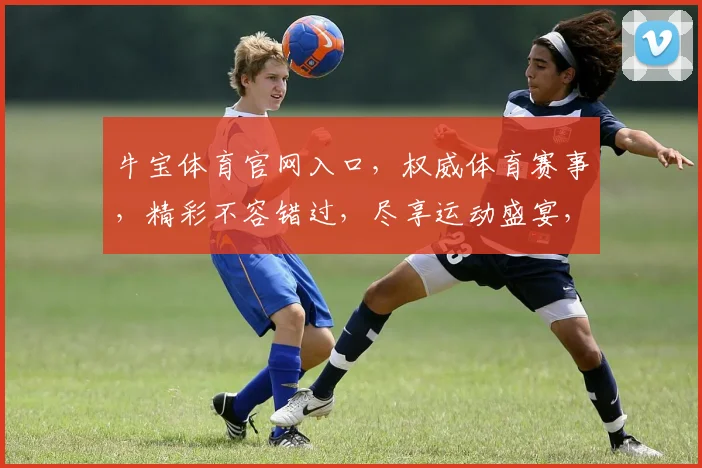 牛宝体育官网入口，权威体育赛事，精彩不容错过，尽享运动盛宴，快速登录体验